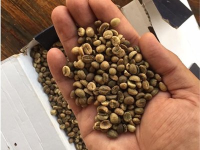 Coffee Beans